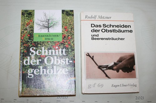 Fachbuch schnitt der - 2x,