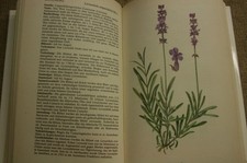altes Fachbuch Kräuter