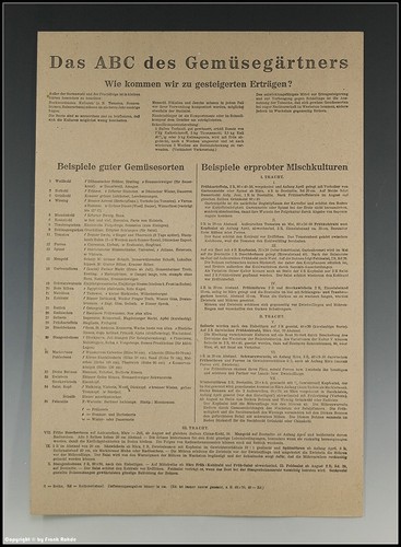 Plakat das abc - das,
