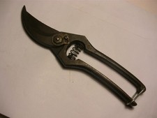 alte Rankenschere  Rosenschere