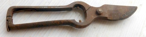 Alte kleine astschere schere - astschere,