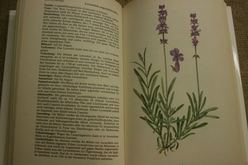 Altes fachbuch kräuter - fachbuch,