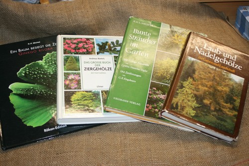 Fachbücher ginkgo - fachbücher,