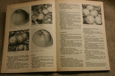 Fachbuch Obstbau im Garten