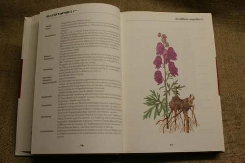 Fachbuch kräuter heilpflanzen - kräuter,