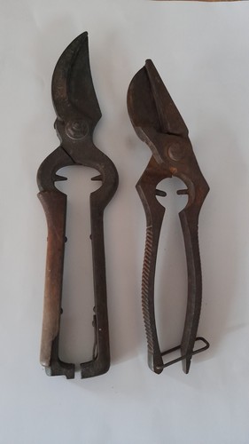 Alte rosenschere - 2x,