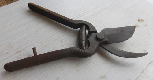 Schöne alte kleine astschere - schöne,