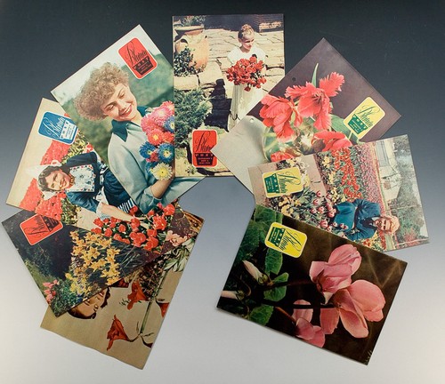 Hefte blumen post um 1953 - x,