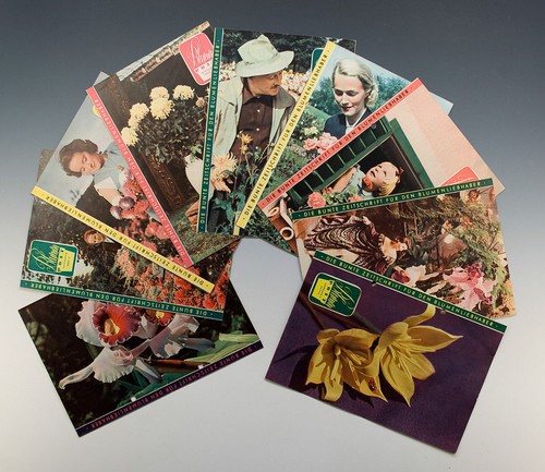 Hefte blumen post um - x, 1952